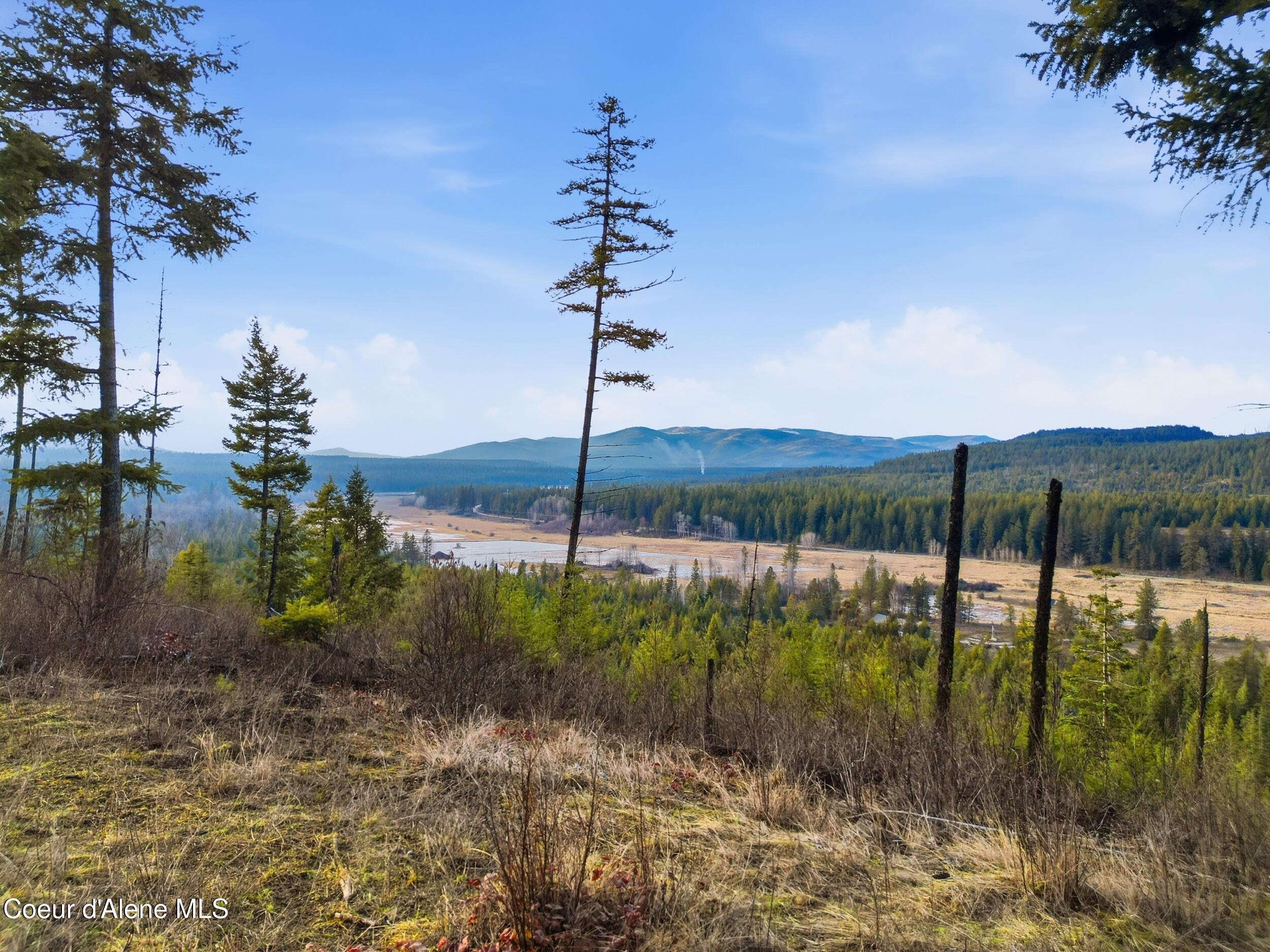 3804 Kelso Lake Road Athol, ID 83801 - Photo 15 of 30 15_dji_0964