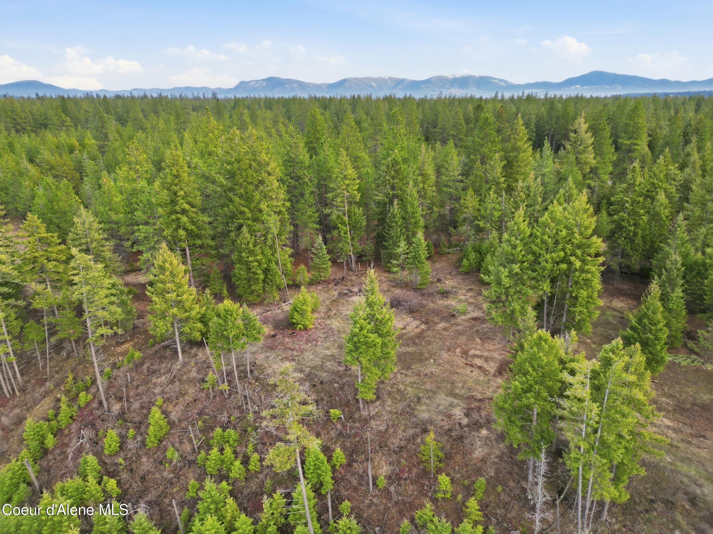 3804 Kelso Lake Road Athol, ID 83801 - Photo 17 of 30 17_dji_0973