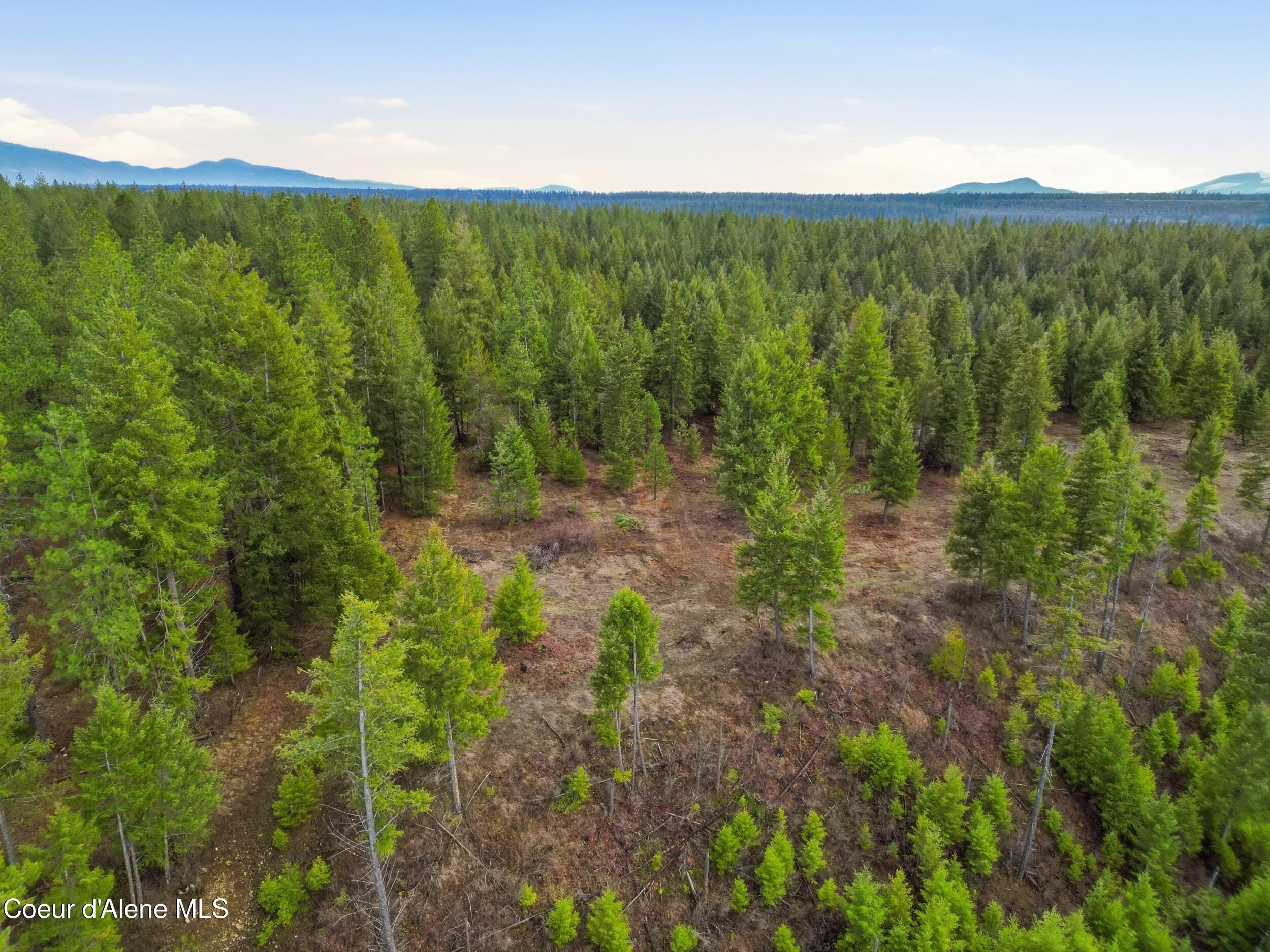 3804 Kelso Lake Road Athol, ID 83801 - Photo 19 of 30 19_dji_0978