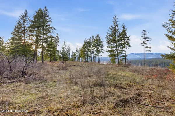 $899,000 | 3804 Kelso Lake Road, Athol, ID 83801