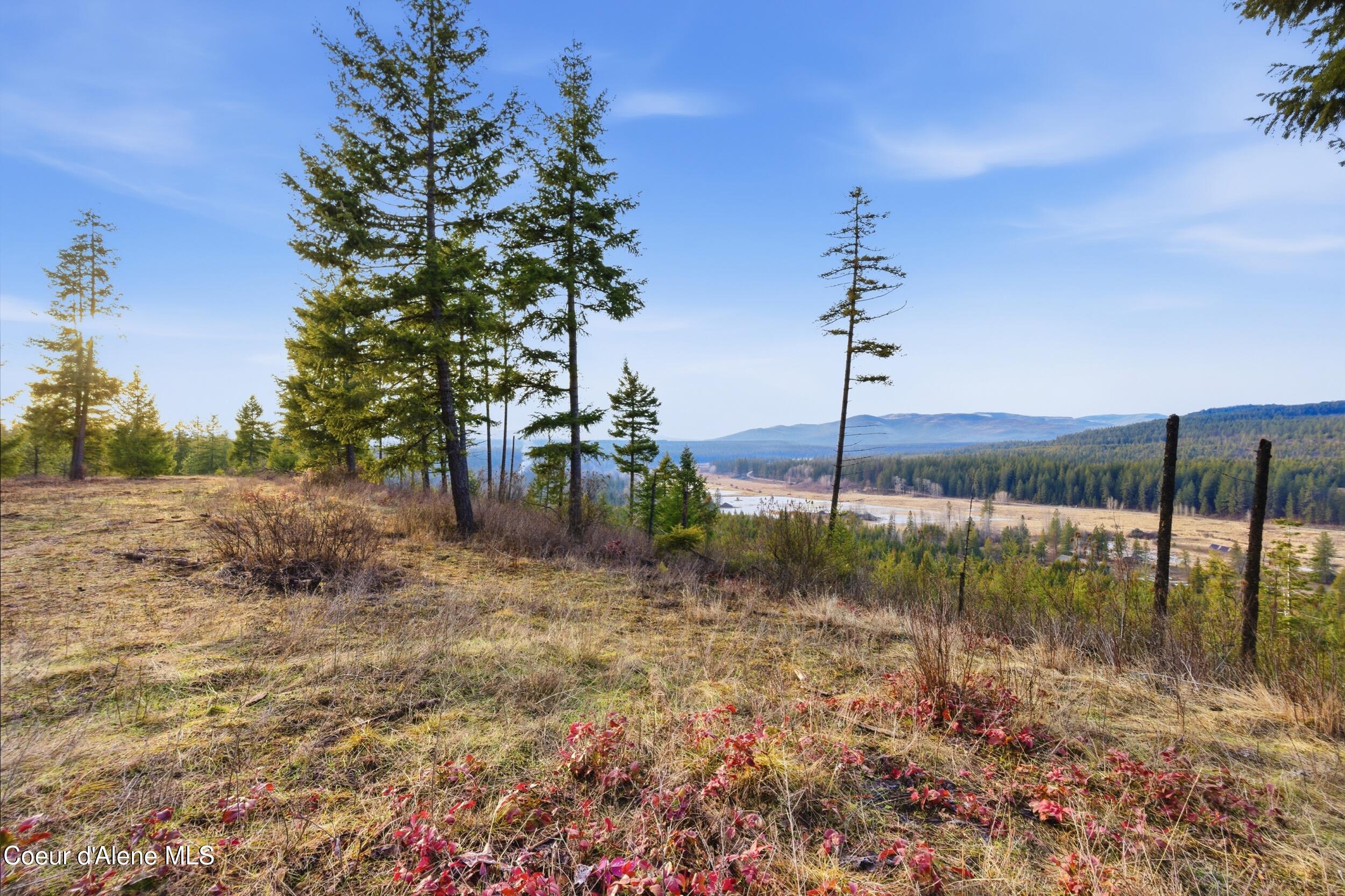 3804 Kelso Lake Road Athol, ID 83801 - Photo 25 of 30 25_img_1813