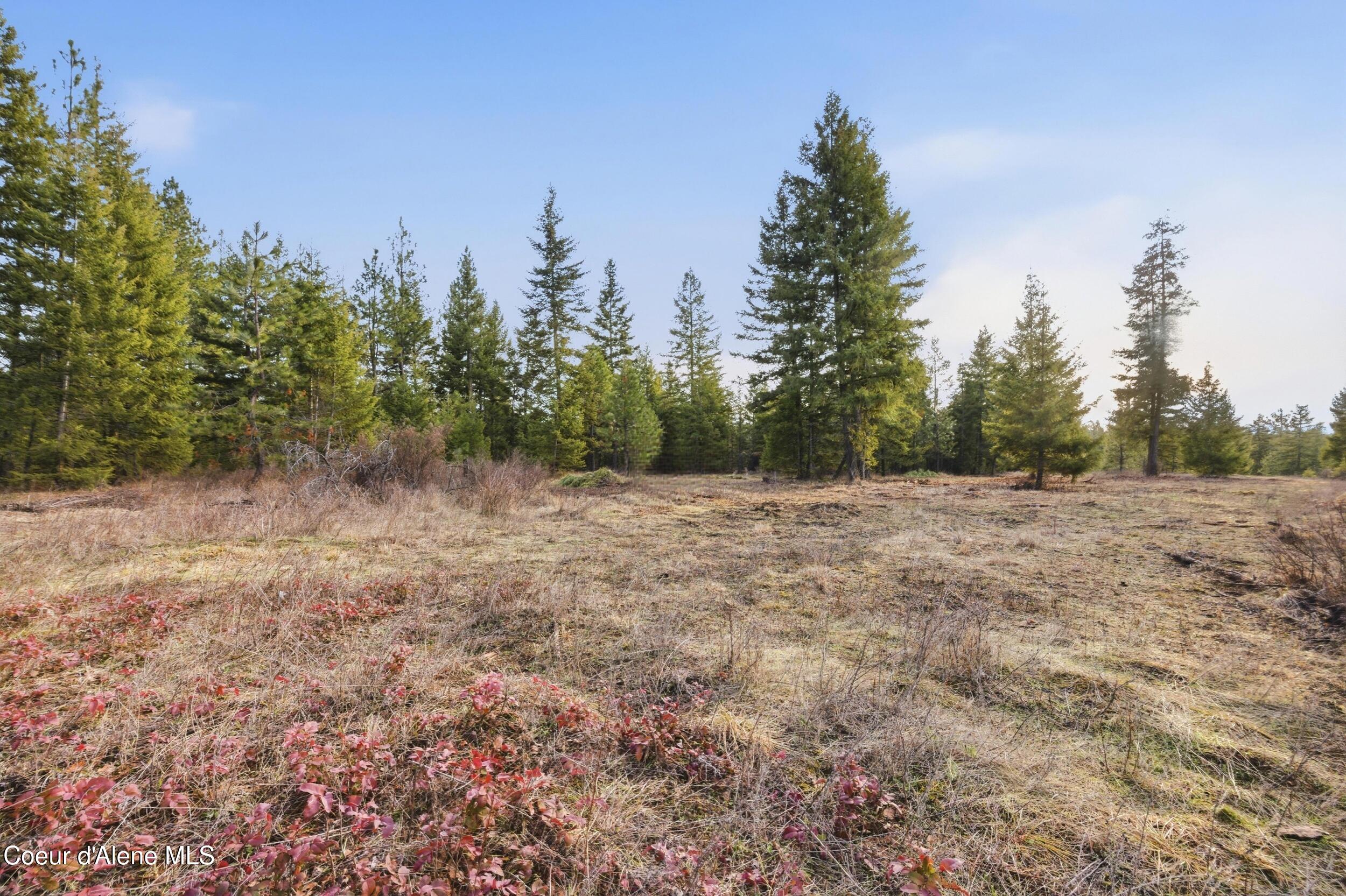 3804 Kelso Lake Road Athol, ID 83801 - Photo 26 of 30 26_img_1816