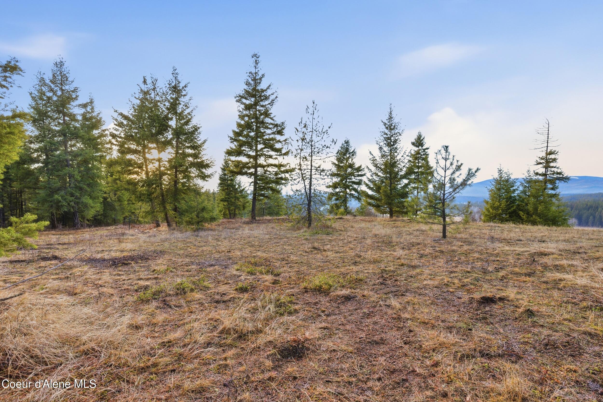 3804 Kelso Lake Road Athol, ID 83801 - Photo 27 of 30 27_img_1822