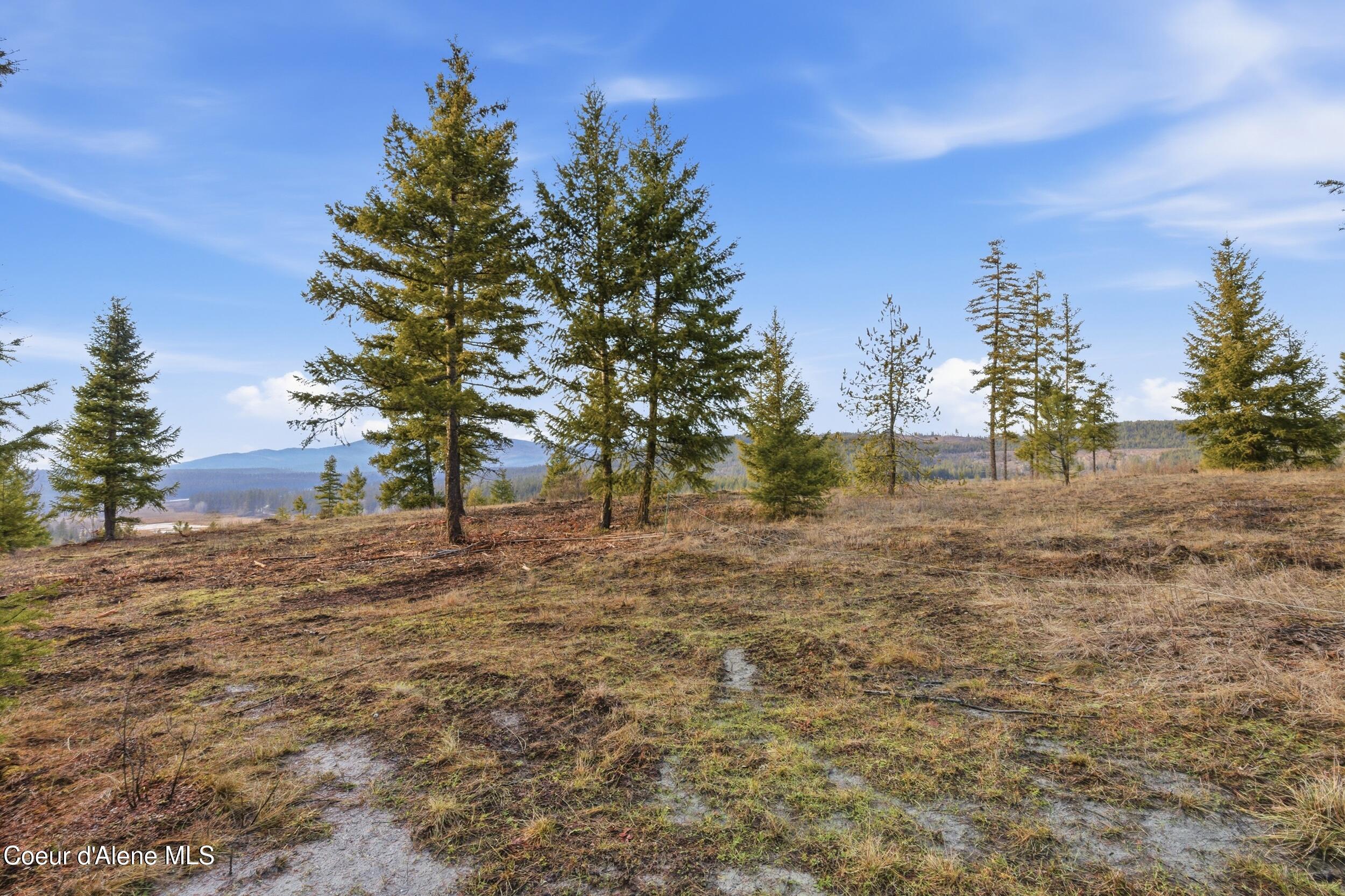 3804 Kelso Lake Road Athol, ID 83801 - Photo 28 of 30 28_img_1825