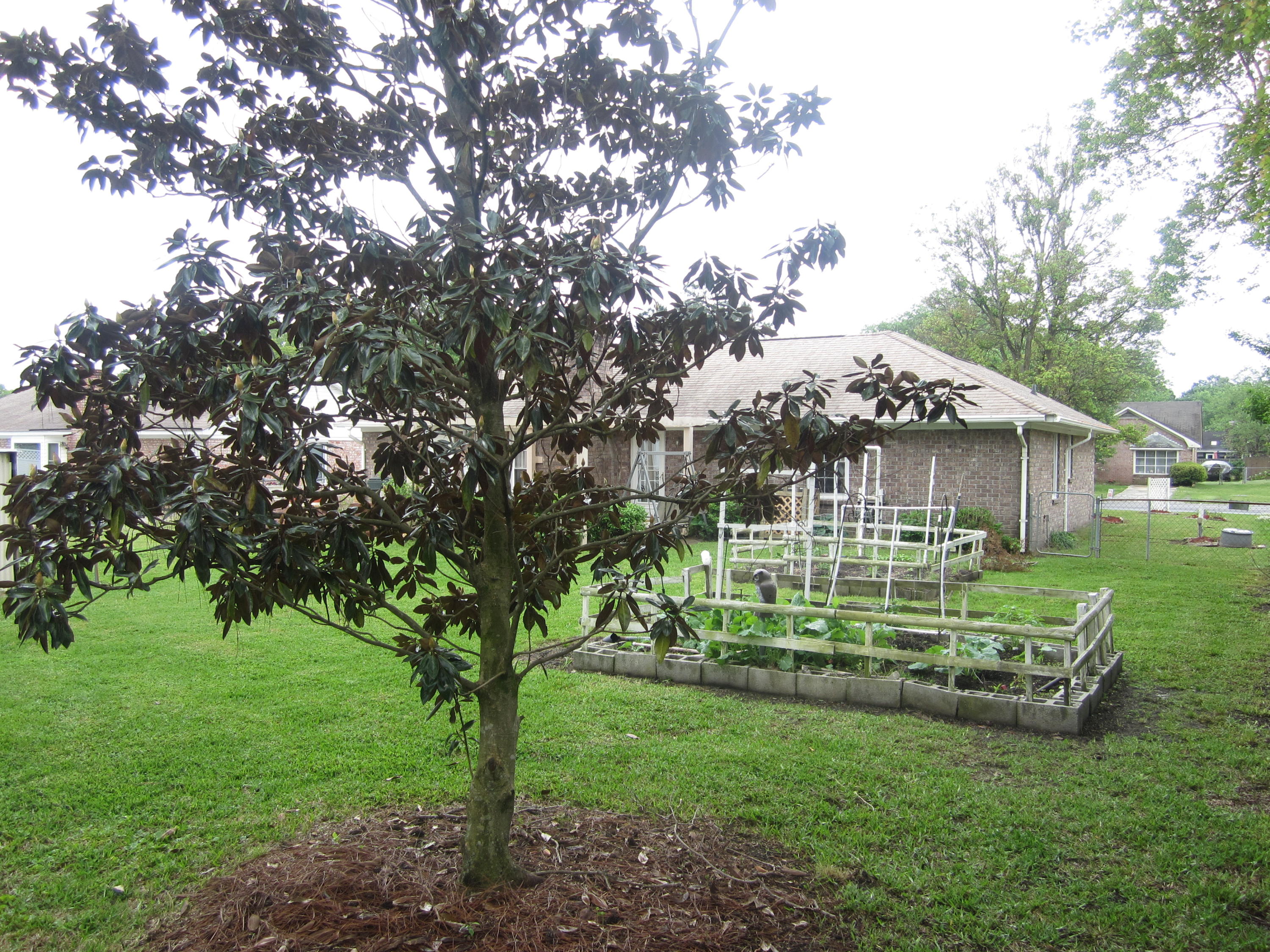 809 Beauregard Road Summerville, SC 29486 - Photo 5 of 26 809 Bearegard 010