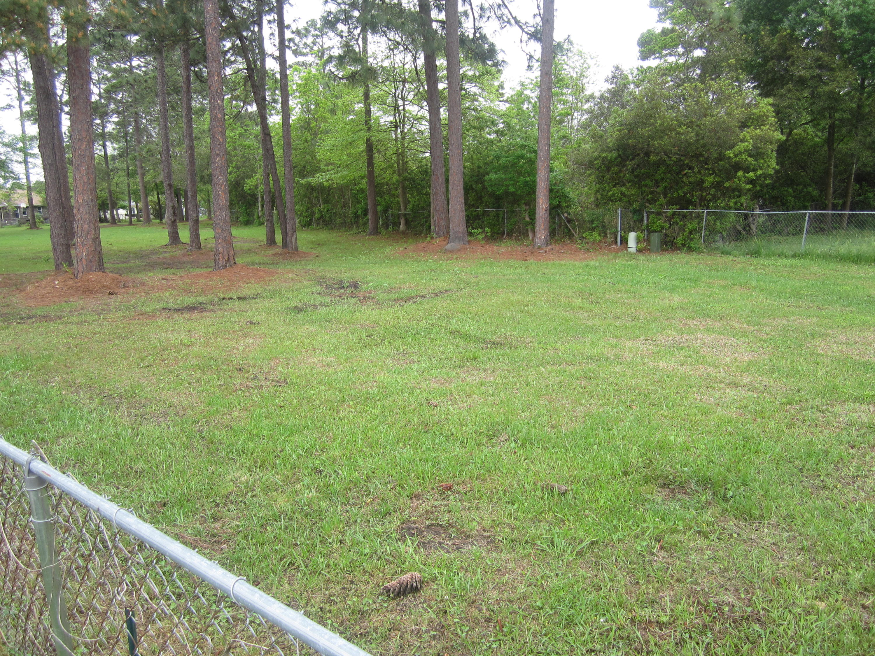 809 Beauregard Road Summerville, SC 29486 - Photo 7 of 26 809 Bearegard 012