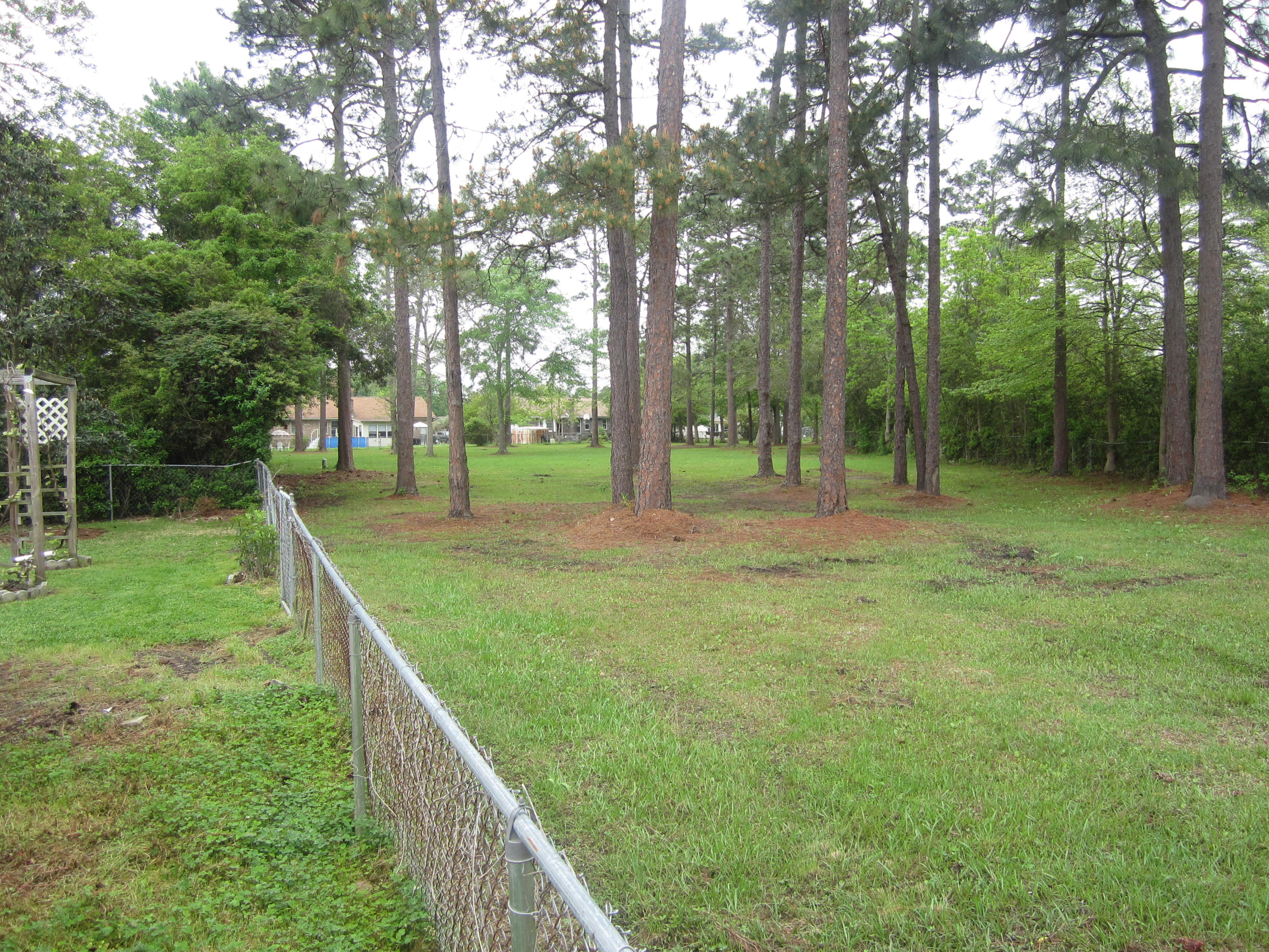 809 Beauregard Road Summerville, SC 29486 - Photo 8 of 26 809 Bearegard 013