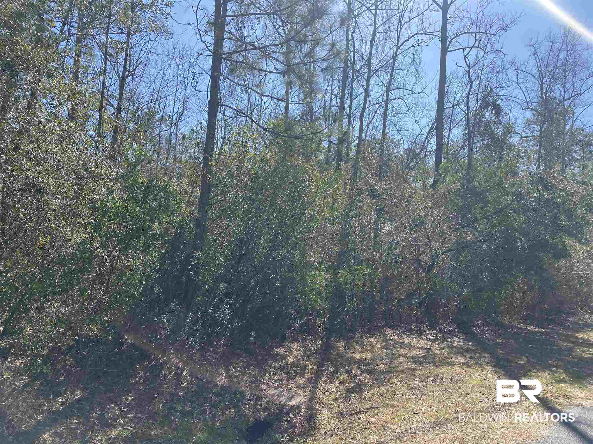 Timber Ridge Drive Loxley, AL 36551 - Photo 8 of 11