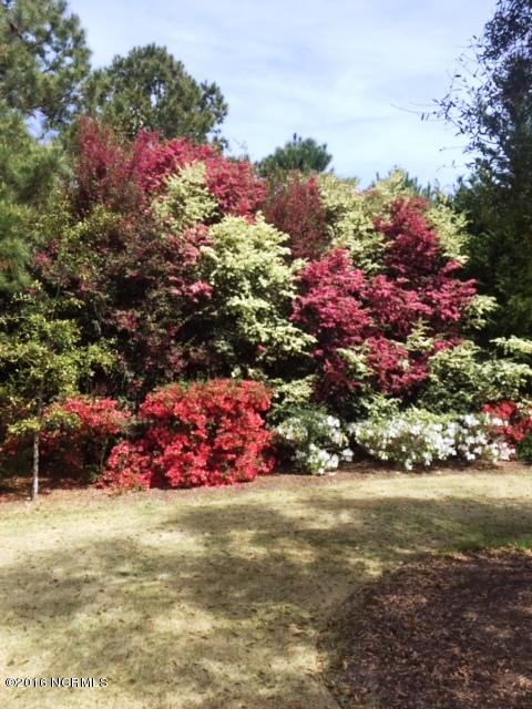 807 Fox Ridge Lane Wilmington, NC 28405 - Photo 29 of 30 Fox Ridge 1