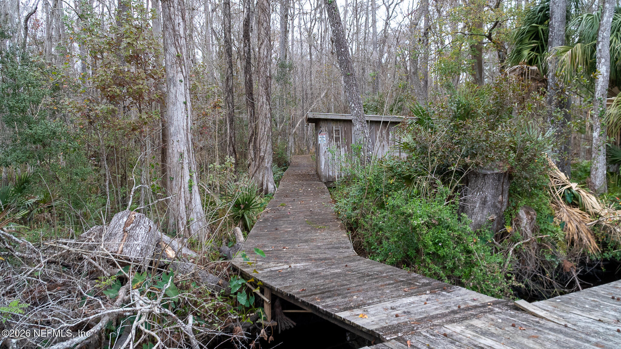155 Fran Lane Satsuma, FL 32189 - Photo 18 of 32 a view of a pathway both side of the house