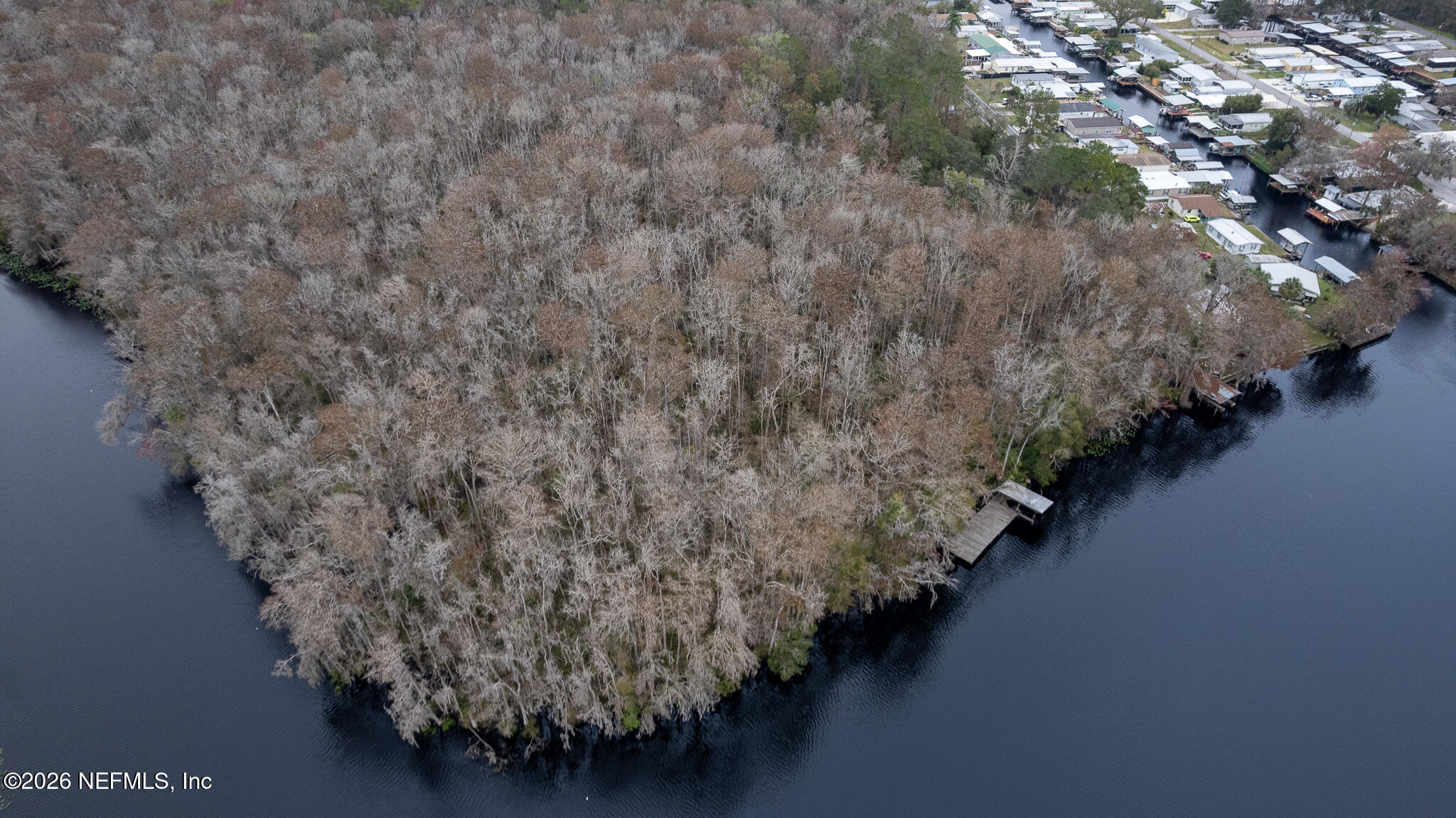 155 Fran Lane Satsuma, FL 32189 - Photo 21 of 32 a view of a street with a tree