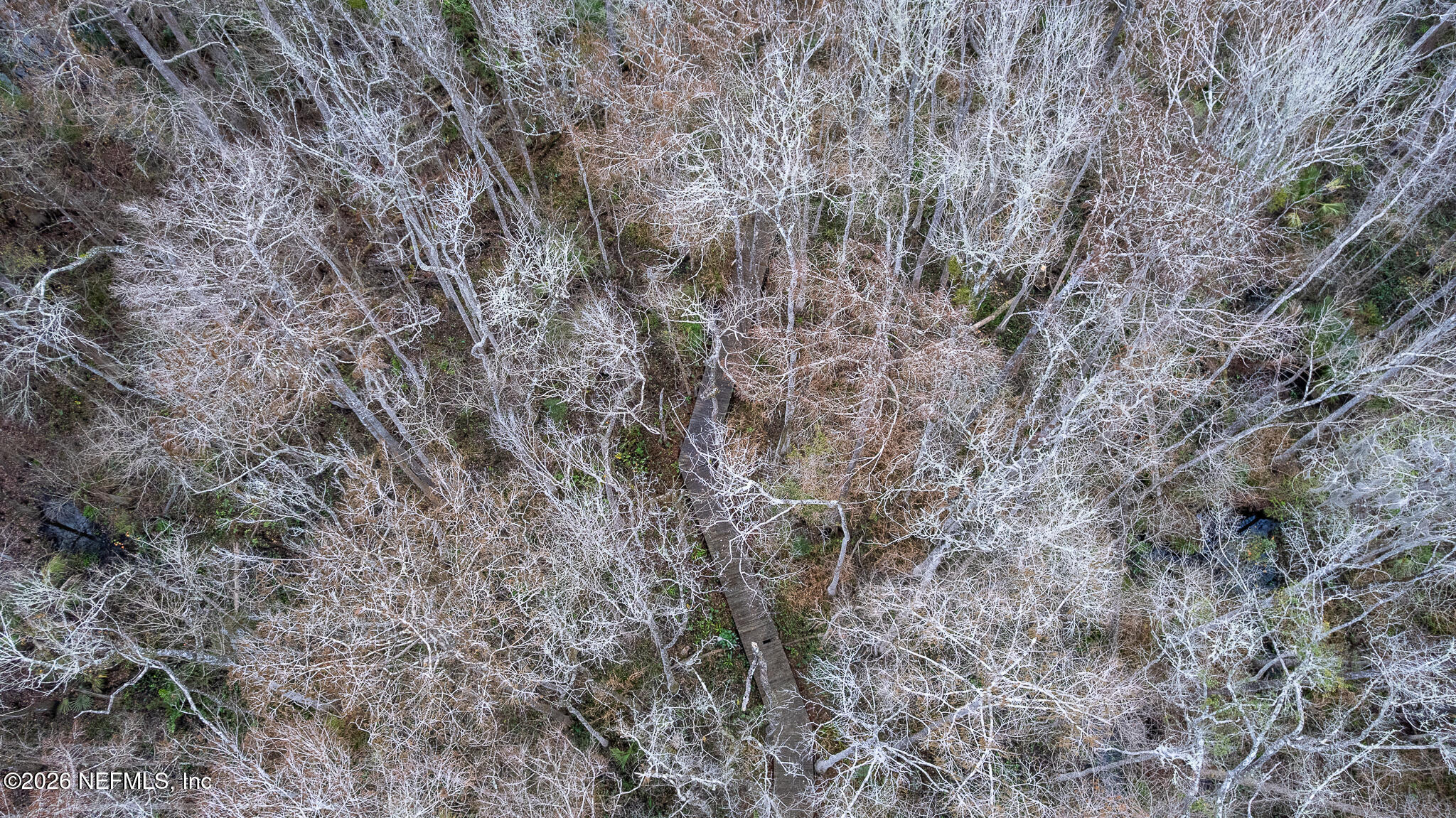 155 Fran Lane Satsuma, FL 32189 - Photo 25 of 32 a view of a dry yard with green space