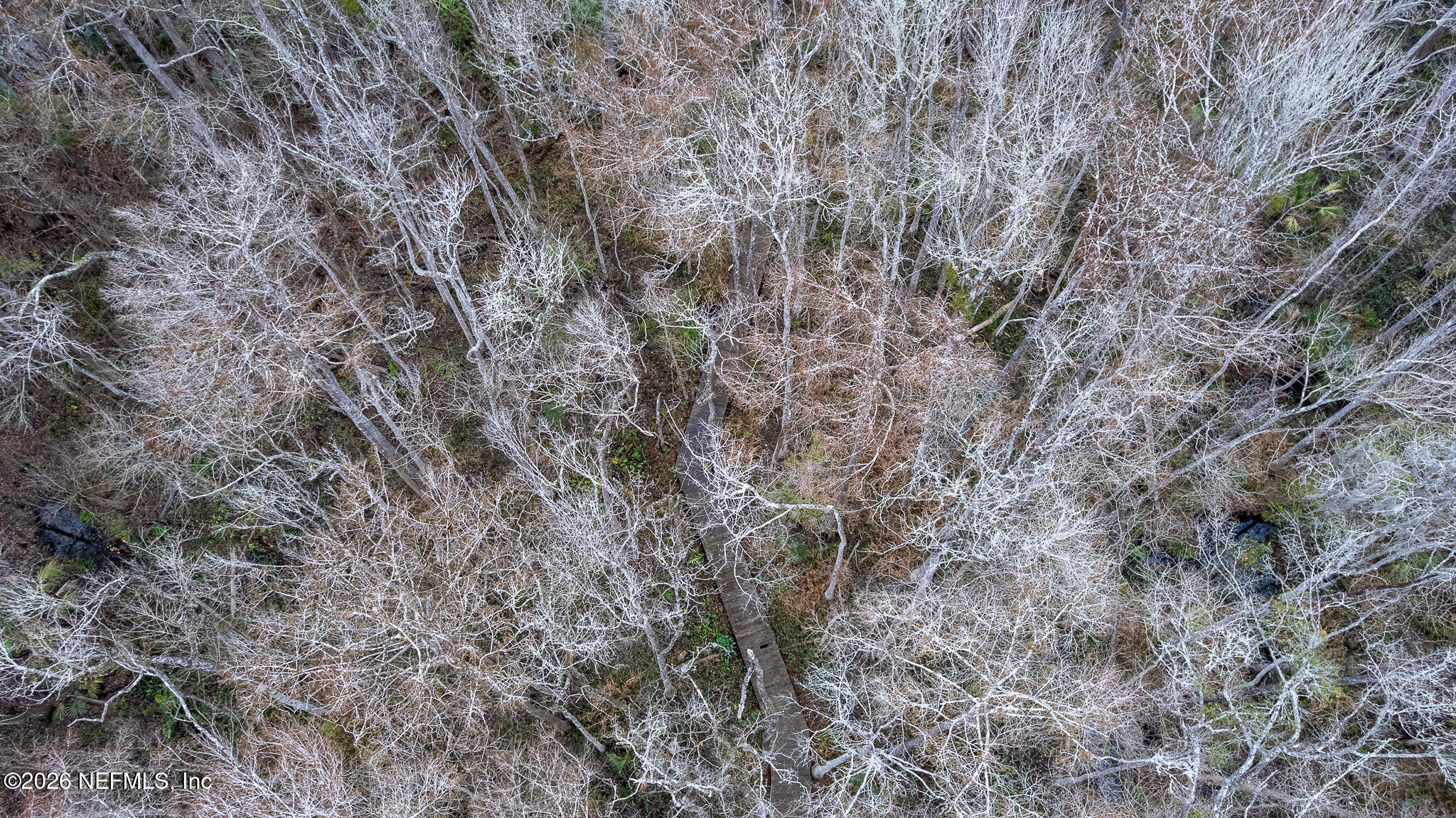 155 Fran Lane Satsuma, FL 32189 - Photo 26 of 32 a view of a dry yard with green space