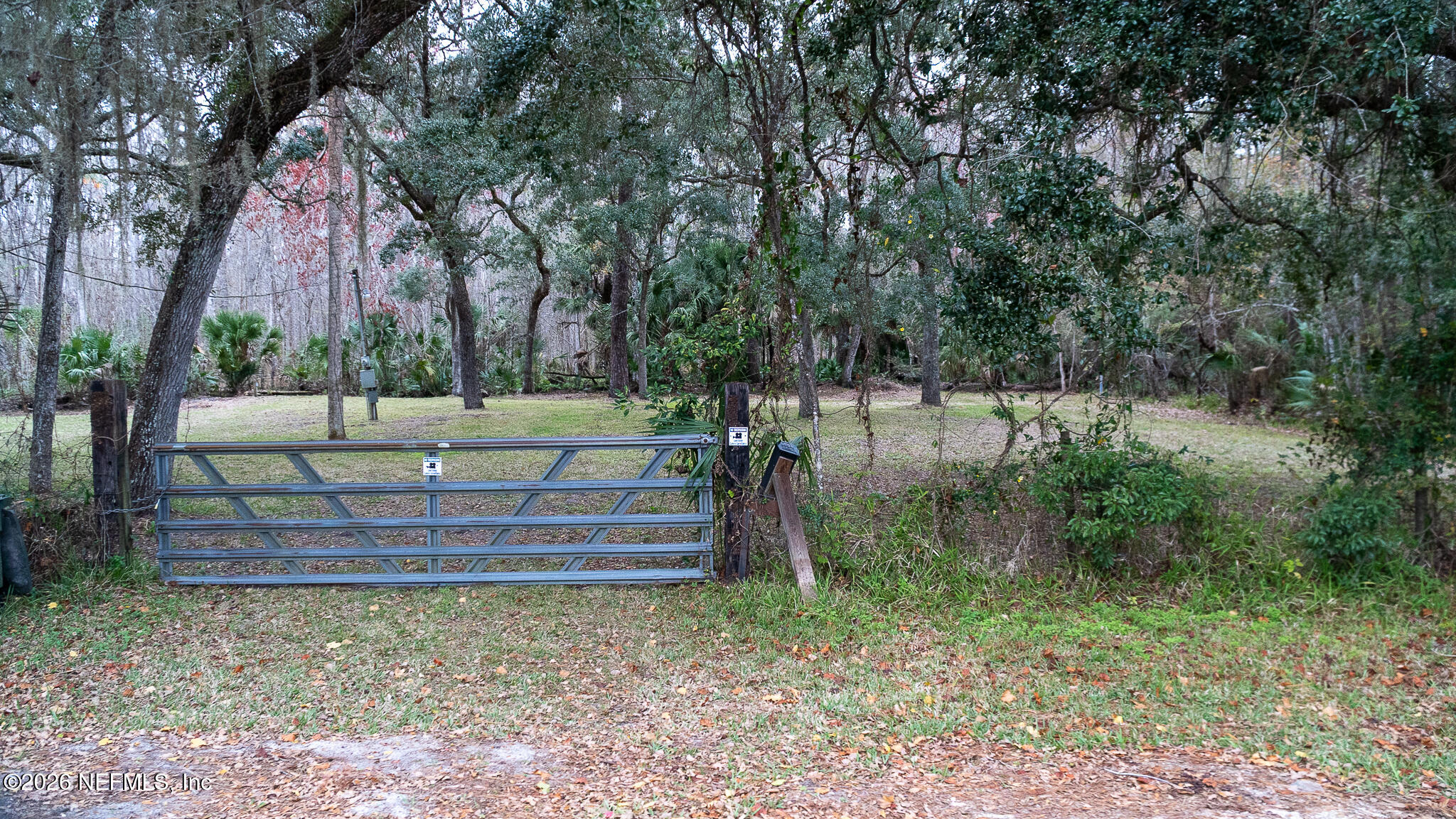 155 Fran Lane Satsuma, FL 32189 - Photo 30 of 32 a view of a yard with large tree