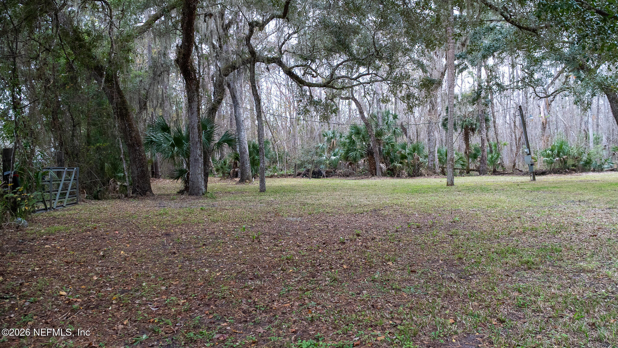 155 Fran Lane Satsuma, FL 32189 - Photo 3 of 32 a view of a field with trees in the background