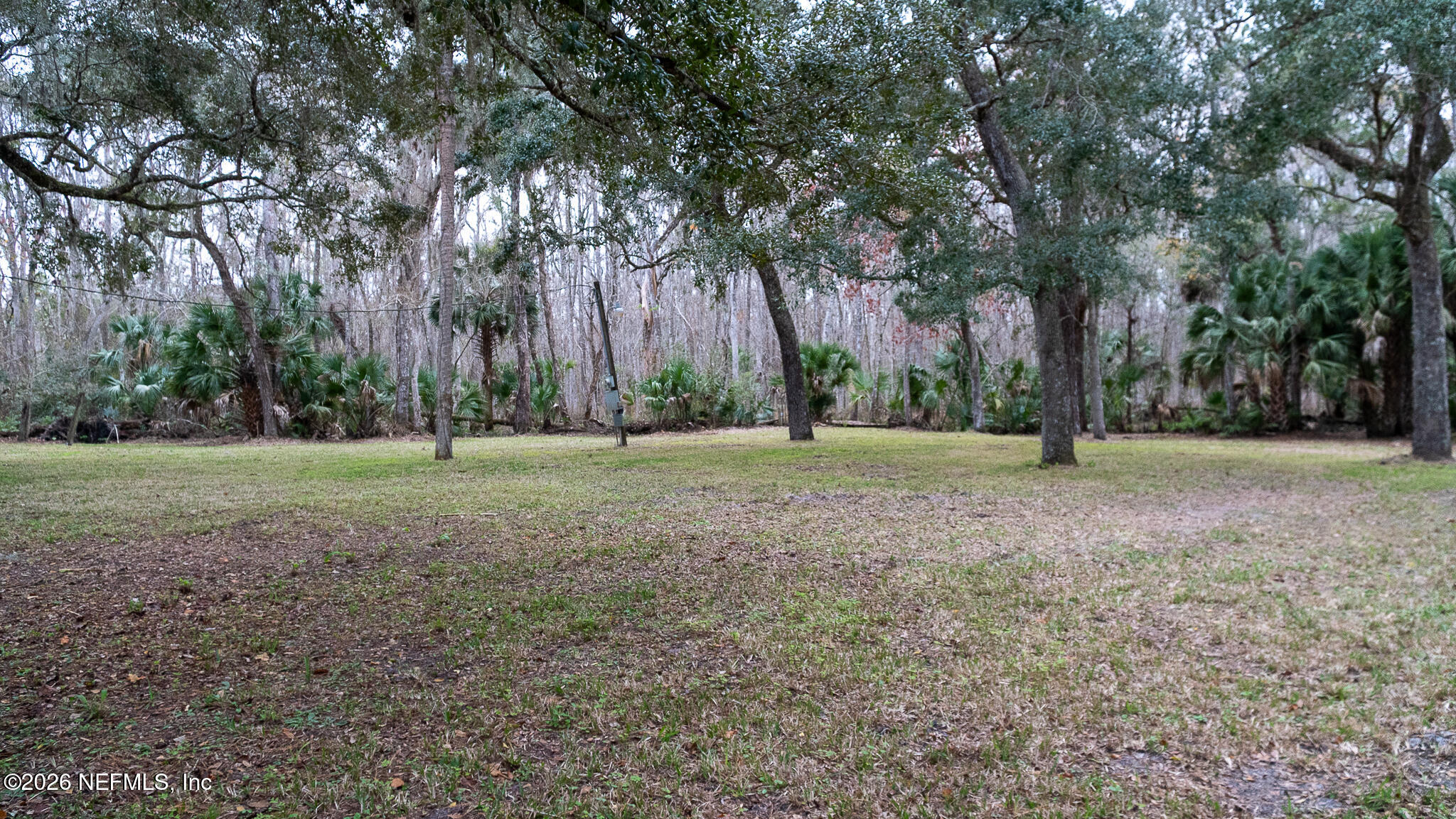 155 Fran Lane Satsuma, FL 32189 - Photo 4 of 32 a view of a trees in a park
