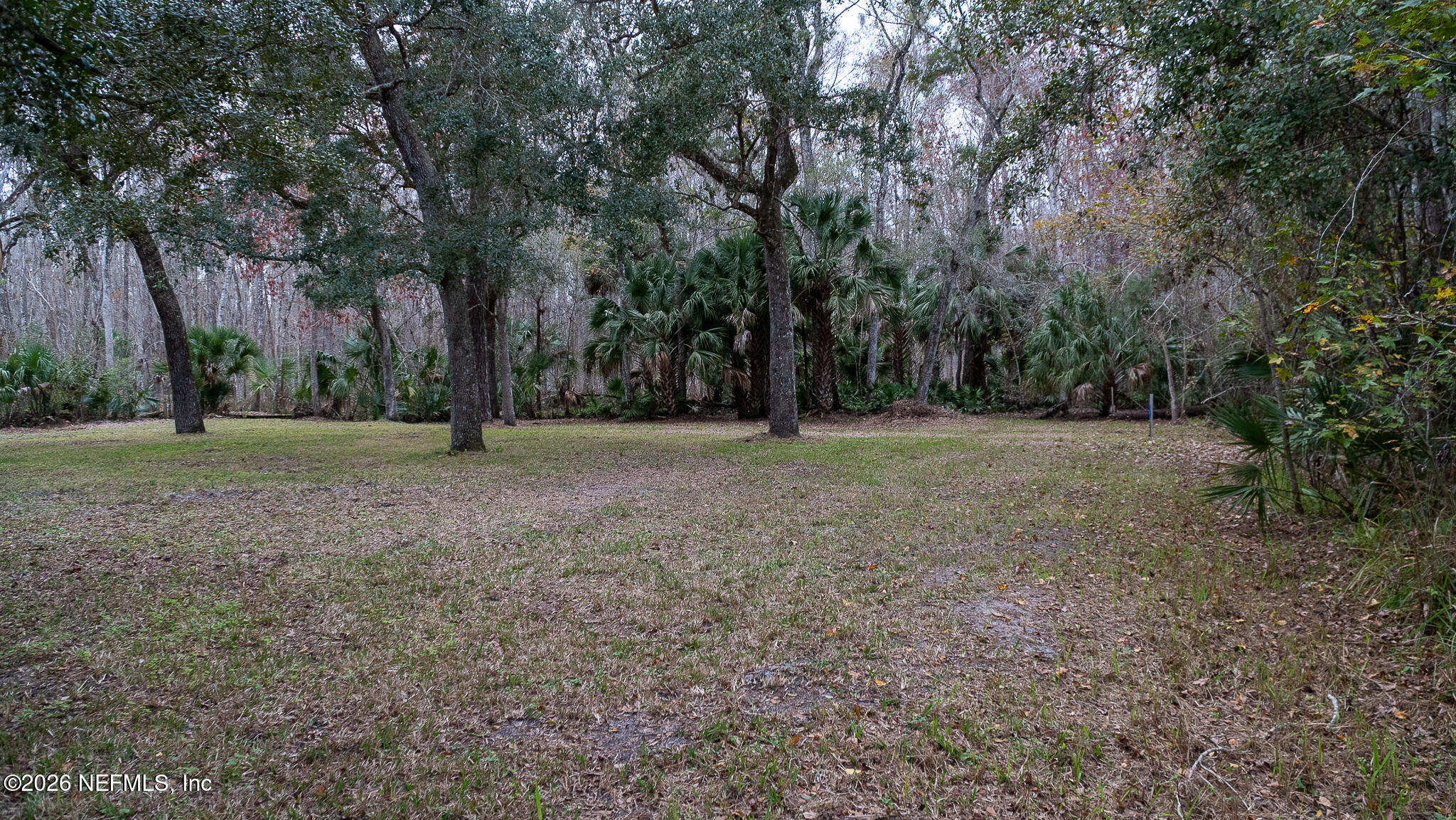 155 Fran Lane Satsuma, FL 32189 - Photo 5 of 32 a view of outdoor space with trees