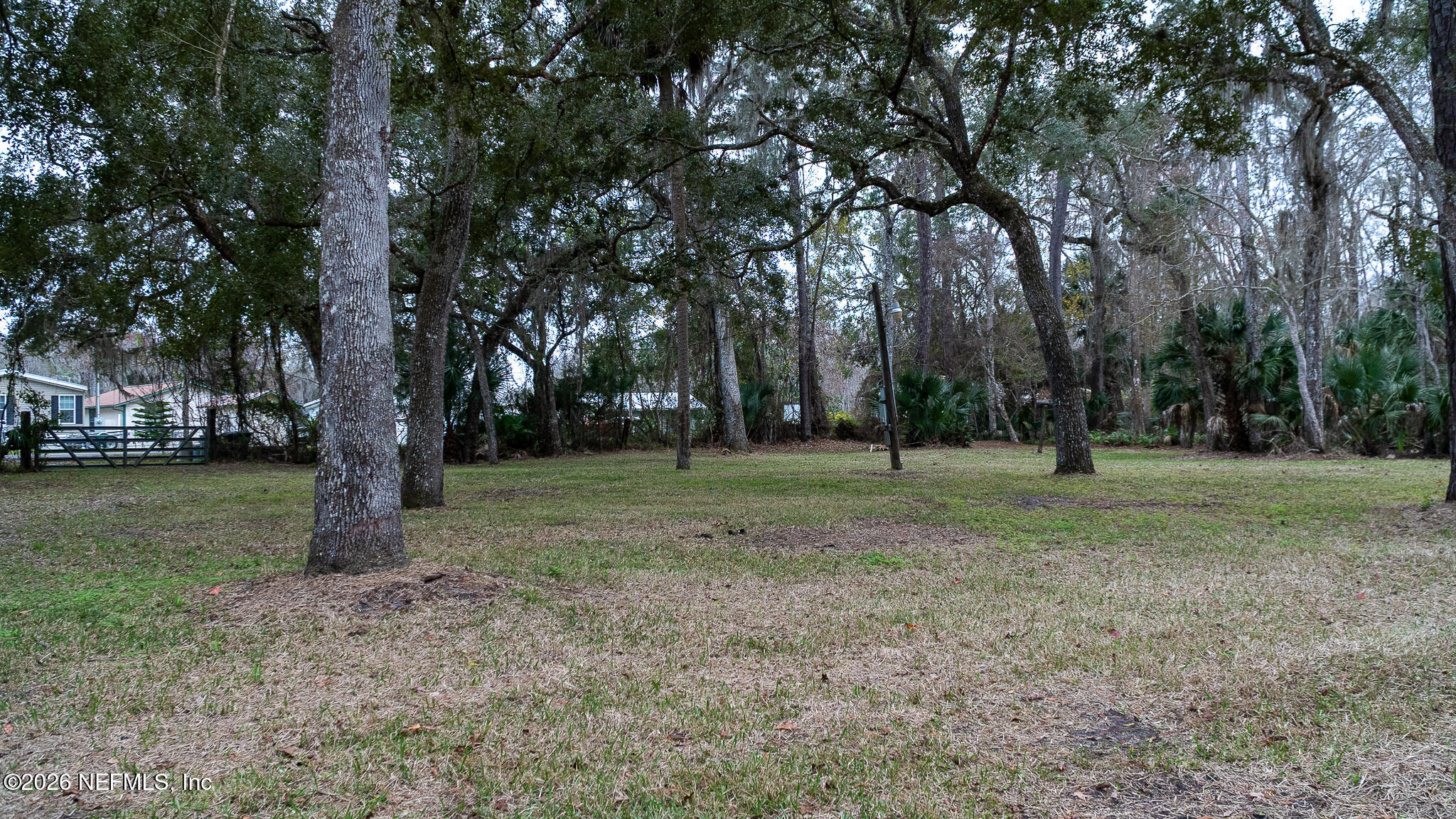 155 Fran Lane Satsuma, FL 32189 - Photo 6 of 32 a view of outdoor space with trees