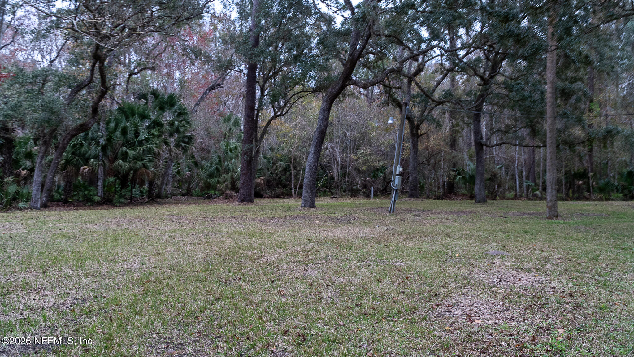 155 Fran Lane Satsuma, FL 32189 - Photo 7 of 32 a view of outdoor space with trees