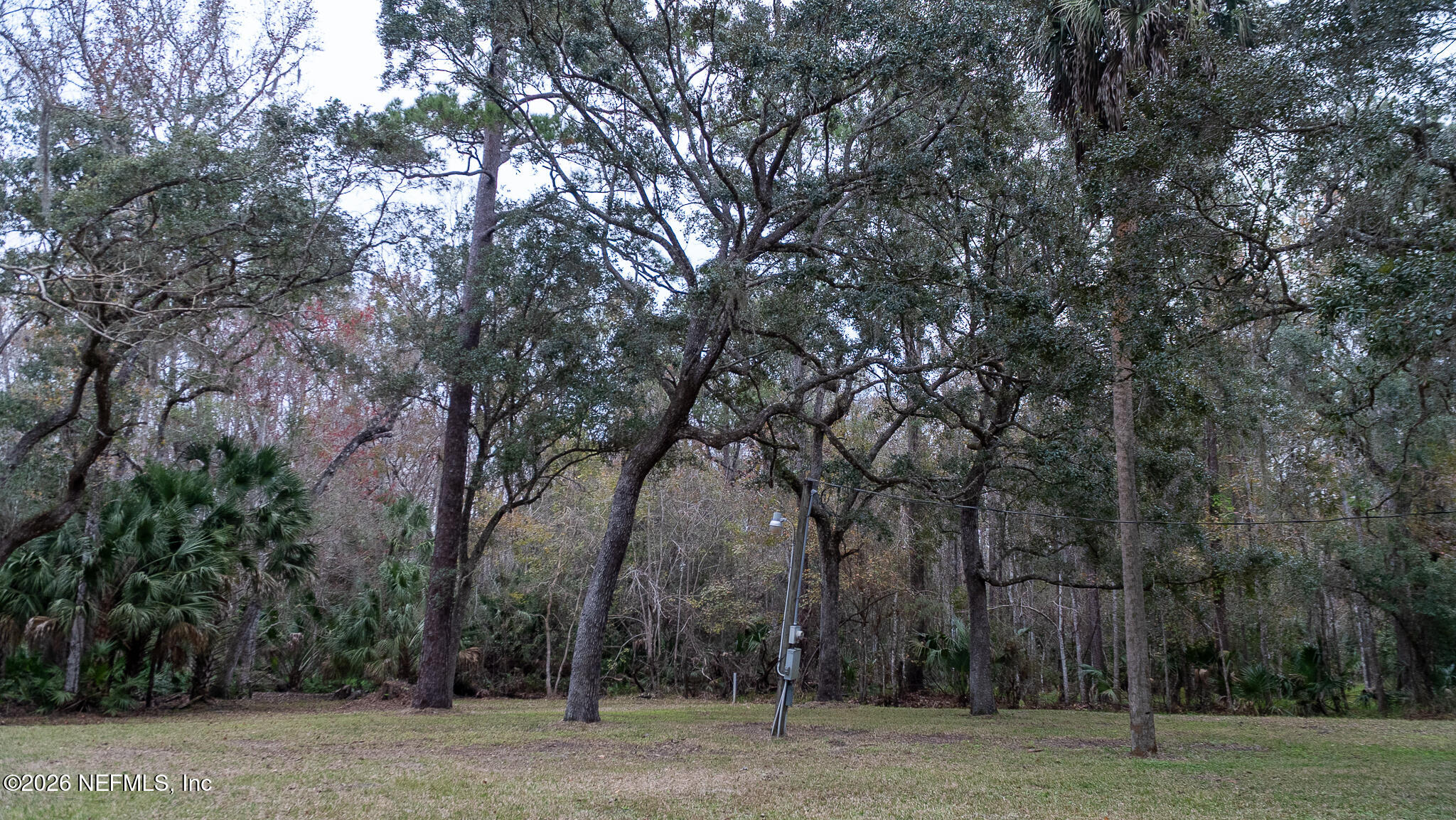 155 Fran Lane Satsuma, FL 32189 - Photo 8 of 32 an outdoor space with large trees
