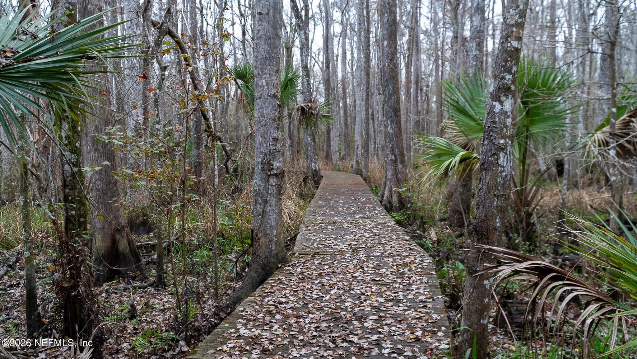155 Fran Lane Satsuma, FL 32189 - Photo 10 of 32 a pathway of a garden