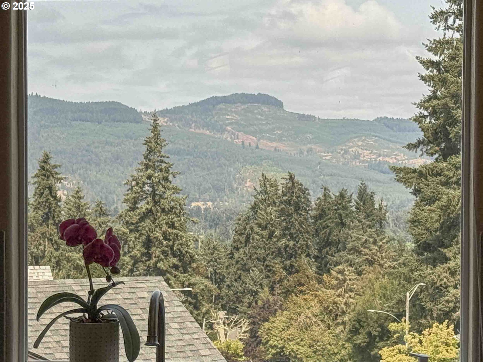 1184 South 69th Street Springfield, OR 97478 - Photo 33 of 48