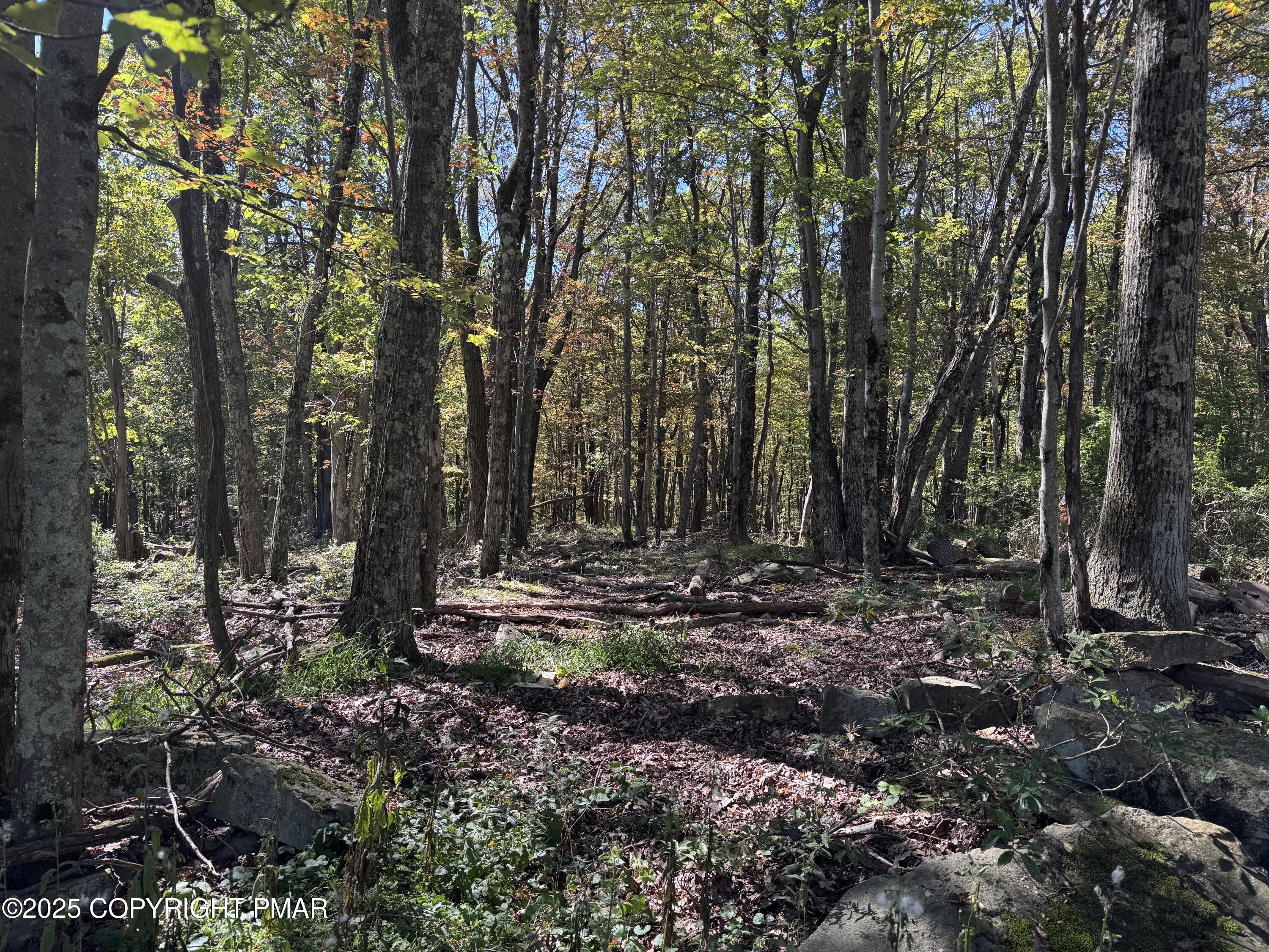 21 Winona Road Mount Pocono, PA 18344 - Photo 5 of 5 Winona Rd Lot 21