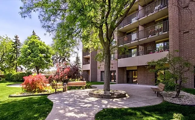 a view of a yard in front of a house with a large tree