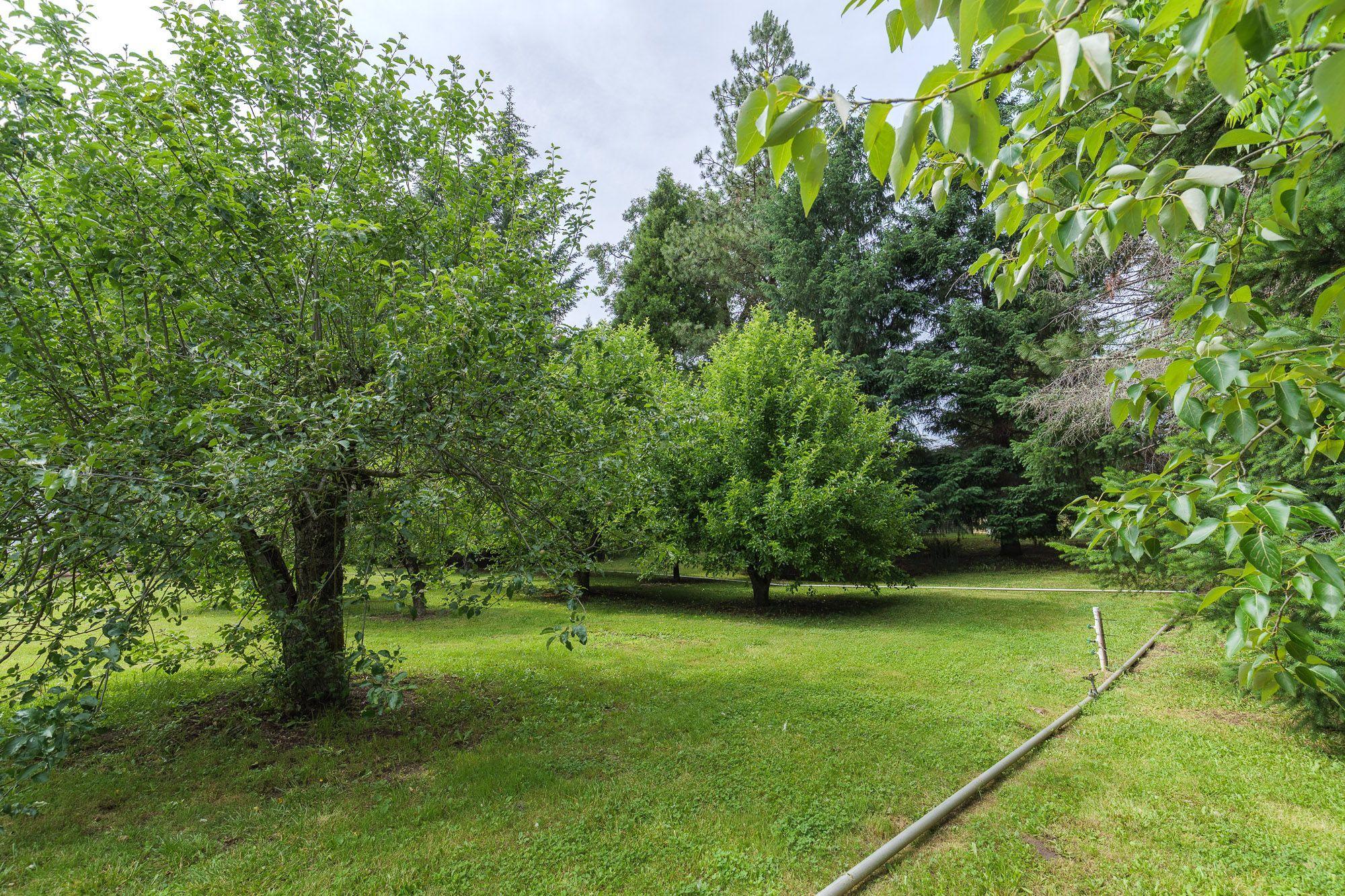 1640 Cedar Flat Road Williams, OR 97544 - Photo 29 of 30 Orchard Area