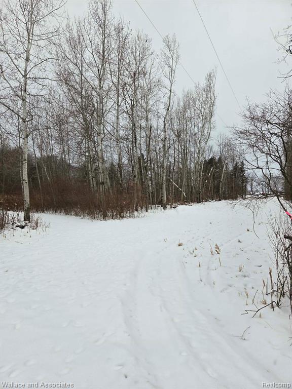 0 Hadley Road Decker, MI 48426 - Photo 2 of 18