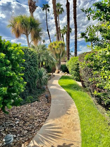 a view of a garden with plants