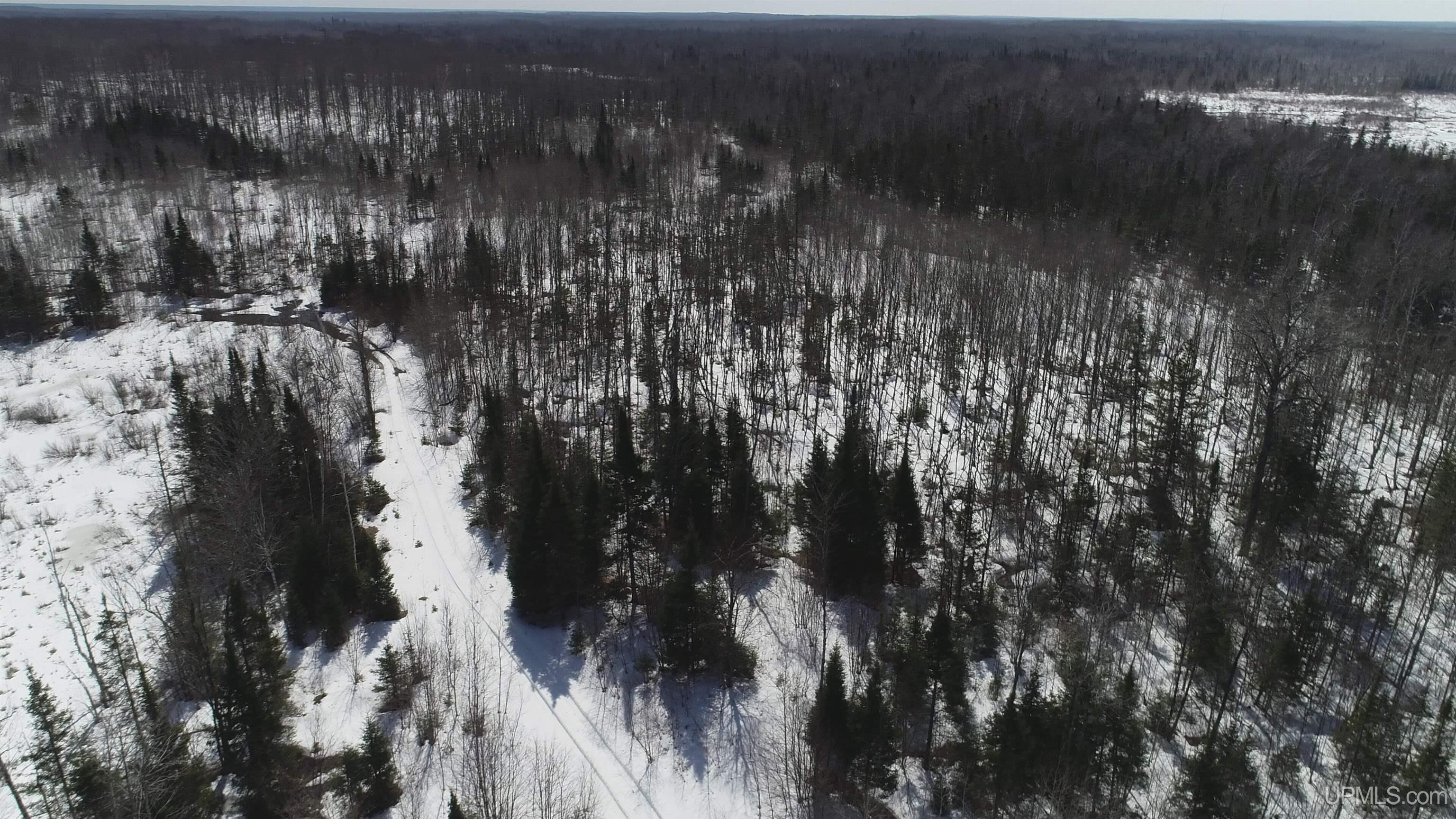 V25 Rd Trenary Mi 49891 Road Rapid River, MI 49878 - Photo 11 of 28