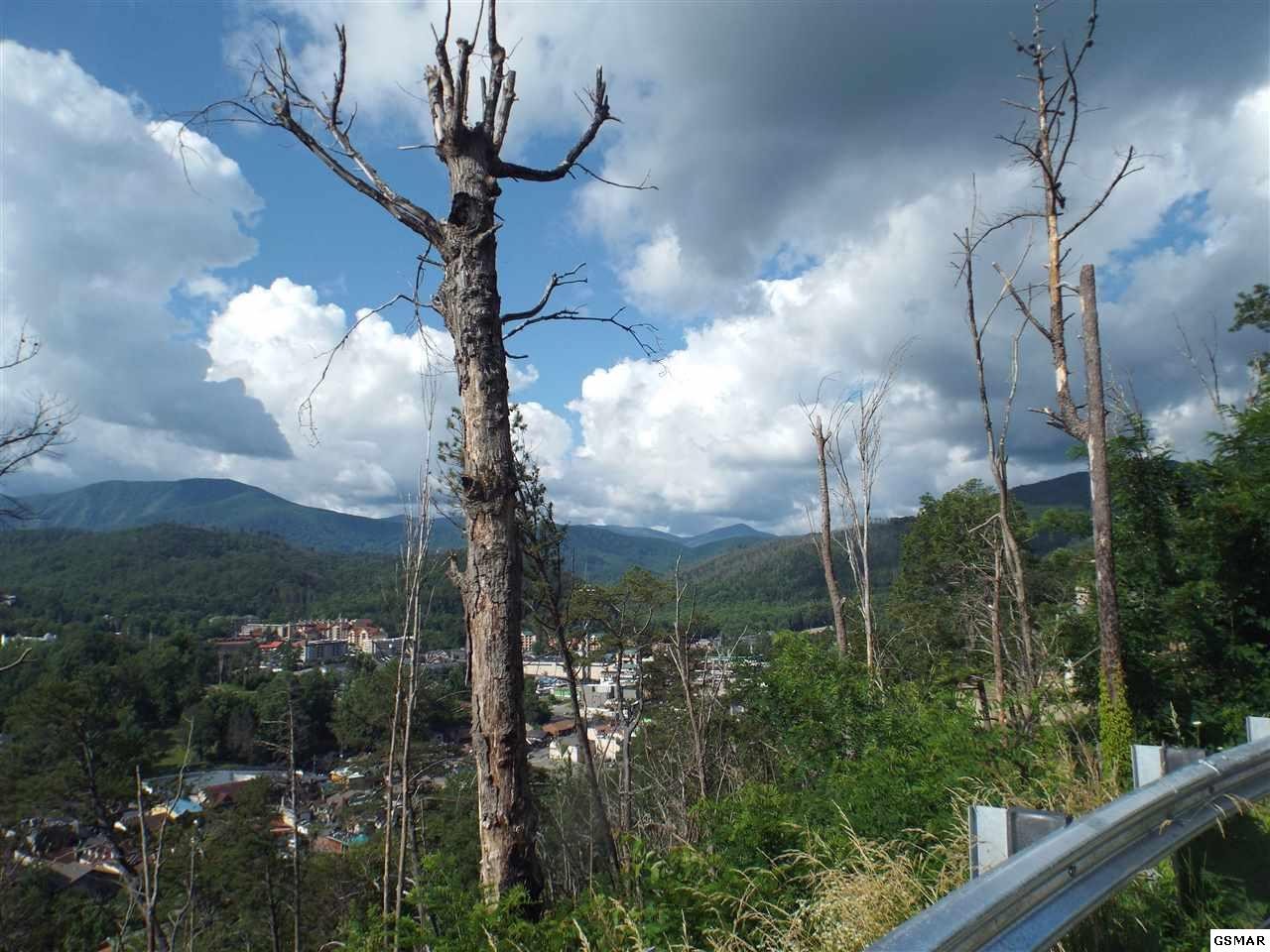 0 Smoky View Road Gatlinburg, TN 37738 - Photo 1 of 6