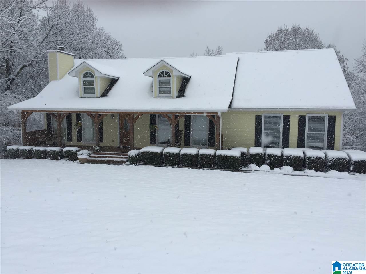 50 Ridgewood Lane Odenville, AL 35120 - Photo 41 of 41