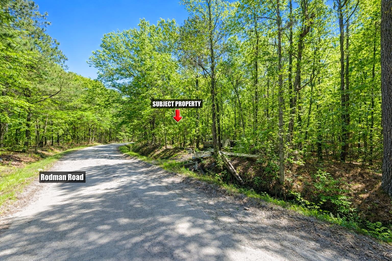 Tbd Rodman Road Lake City, SC 29560 - Photo 2 of 11