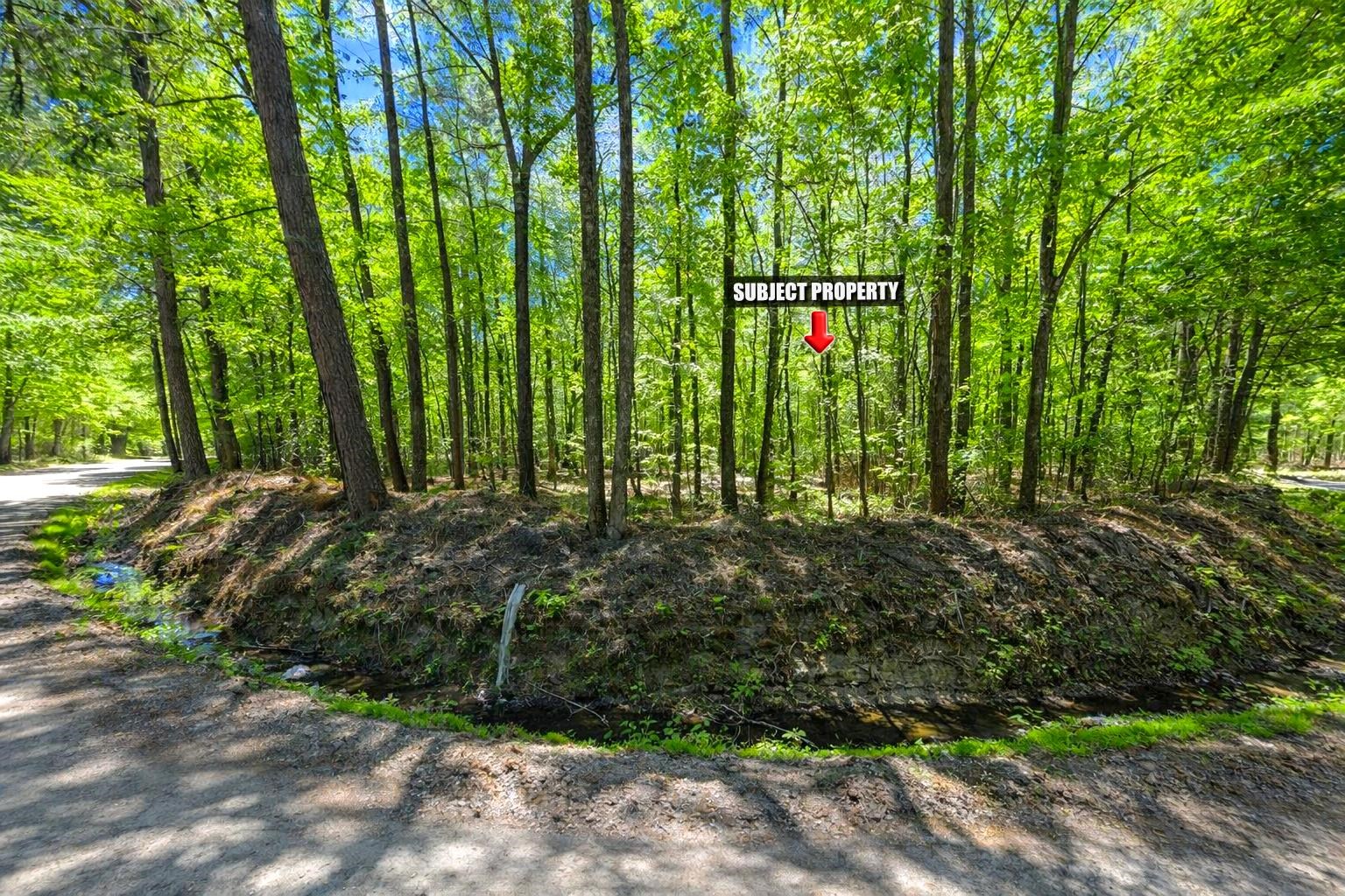 Tbd Rodman Road Lake City, SC 29560 - Photo 3 of 11