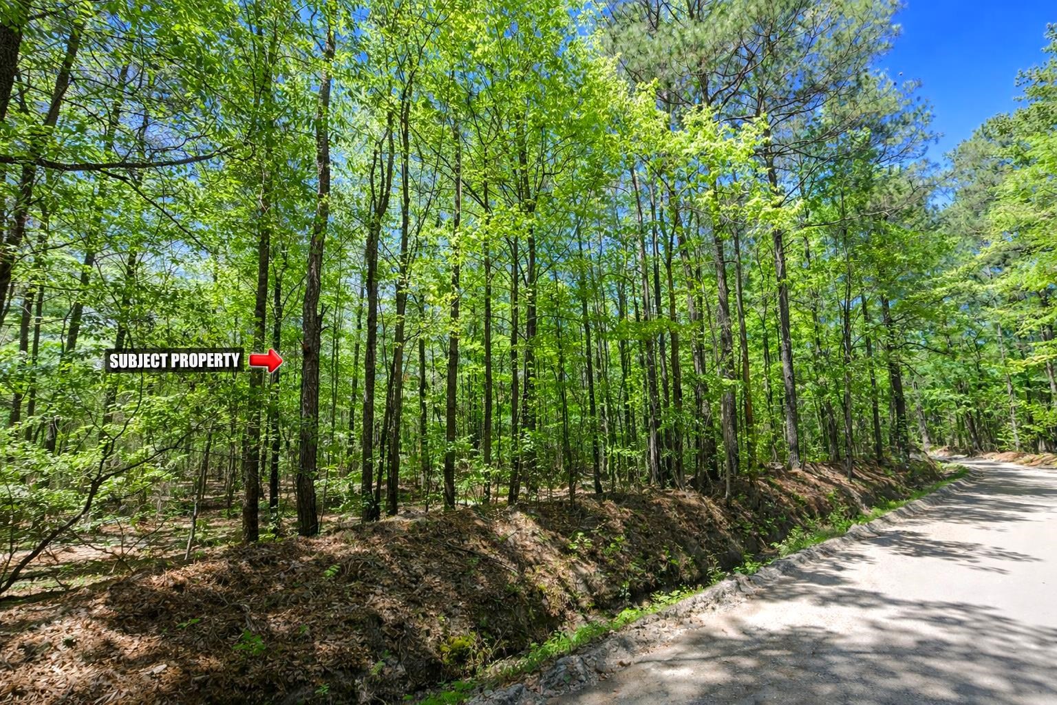 Tbd Rodman Road Lake City, SC 29560 - Photo 7 of 11