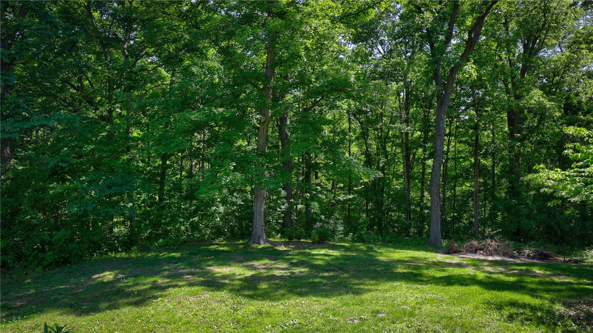 4600 Benton Road Mount Zion, IL 62549 - Photo 37 of 41