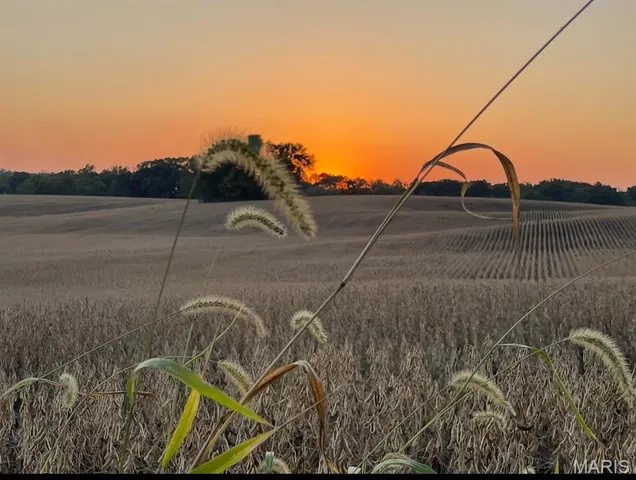 $515,000 | 2424 Trout Camp Road, Waterloo, IL 62298