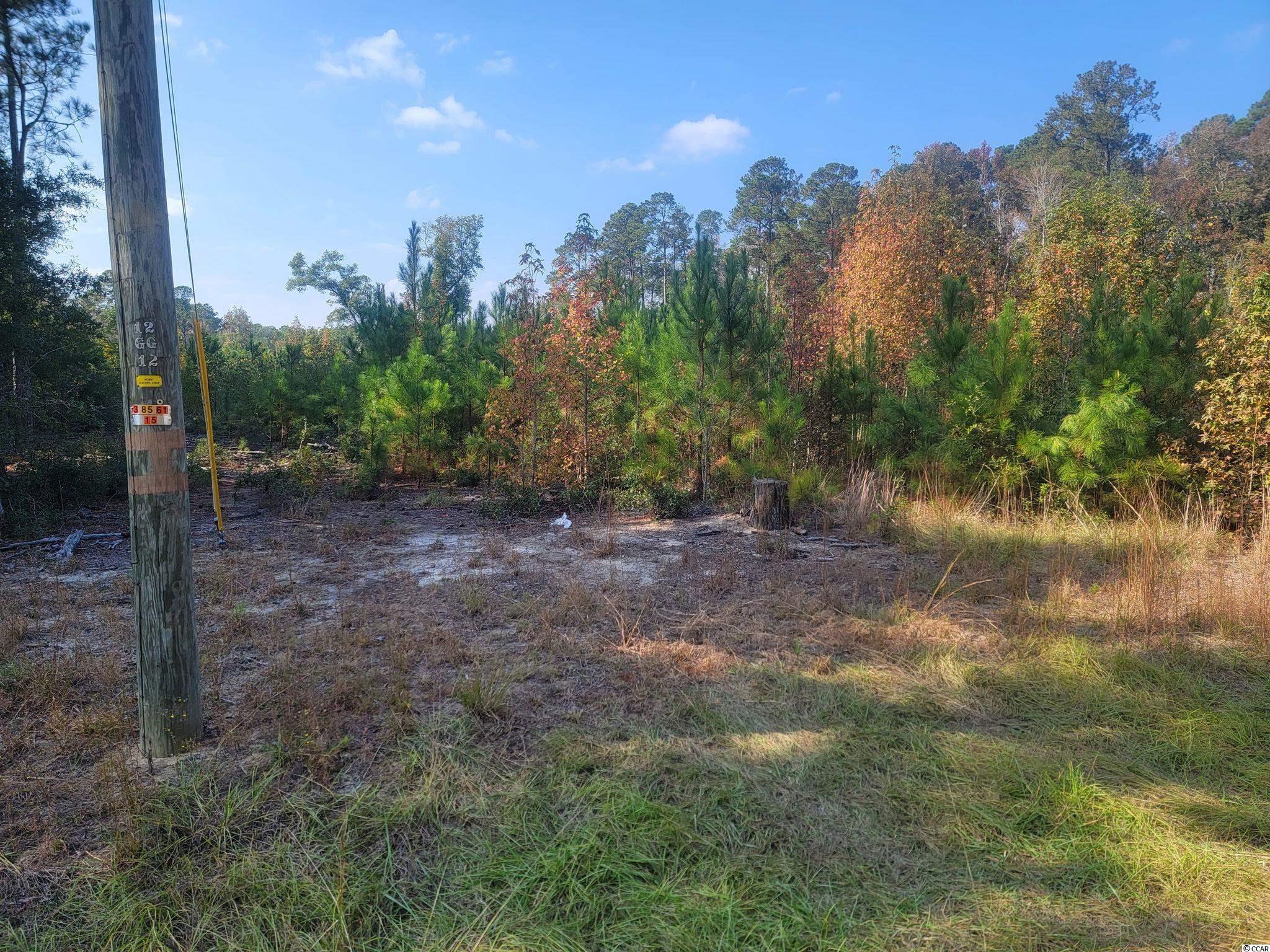 Lot #15 Plantation Road Nichols, SC 29581 - Photo 5 of 10 Gallery Image 5