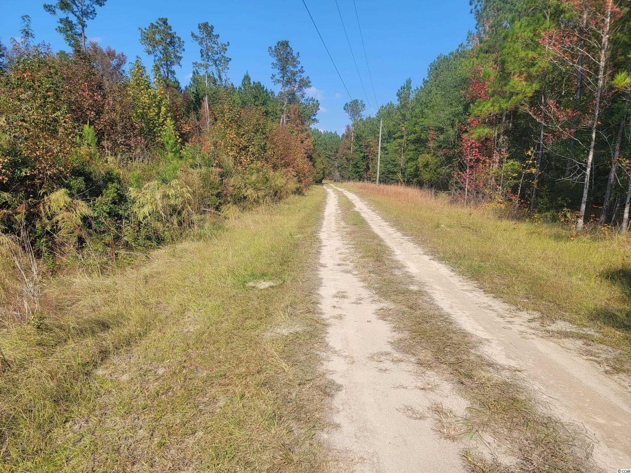 Lot #15 Plantation Road Nichols, SC 29581 - Photo 7 of 10 Gallery Image 7