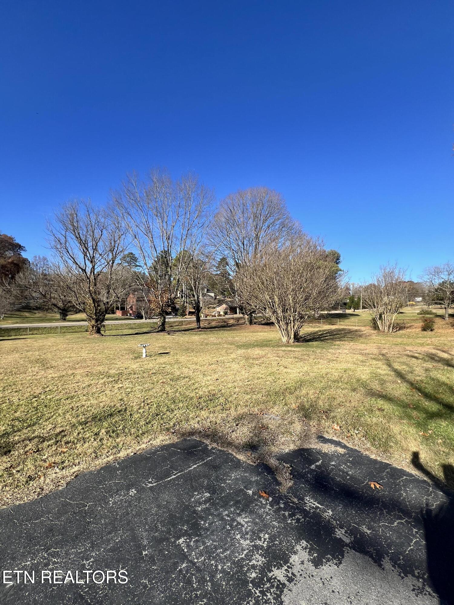 1700 Francis Road Knoxville, TN 37909 - Photo 16 of 16 yard