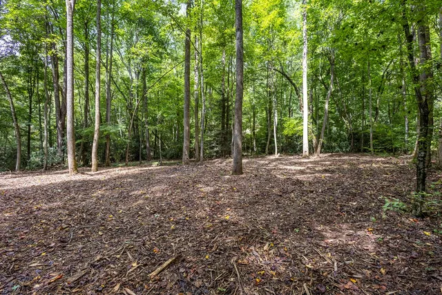 a view of outdoor space and trees