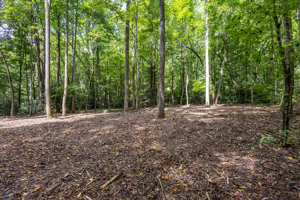 1034 Chestnut Flts Road Andrews, NC 28901 - Photo 11 of 43 a view of outdoor space and trees