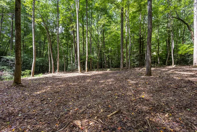 a view of outdoor space and yard