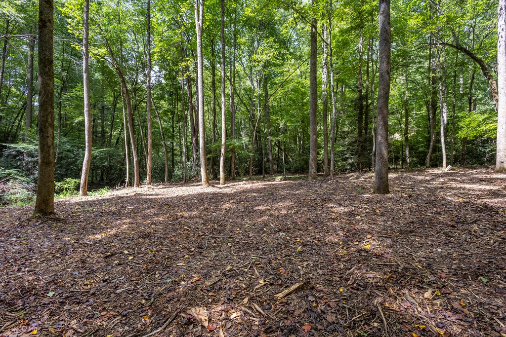 1034 Chestnut Flts Road Andrews, NC 28901 - Photo 12 of 43 a view of outdoor space and yard