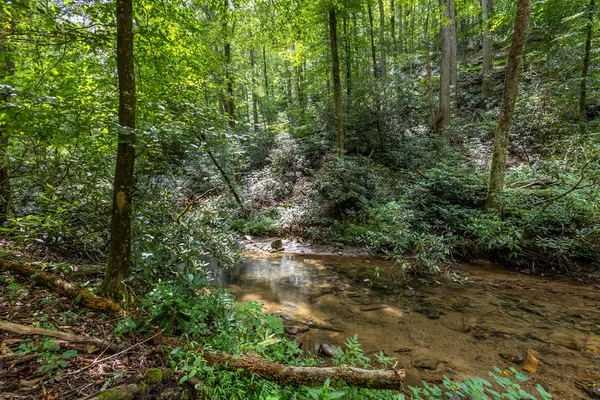 a view of outdoor space and trees