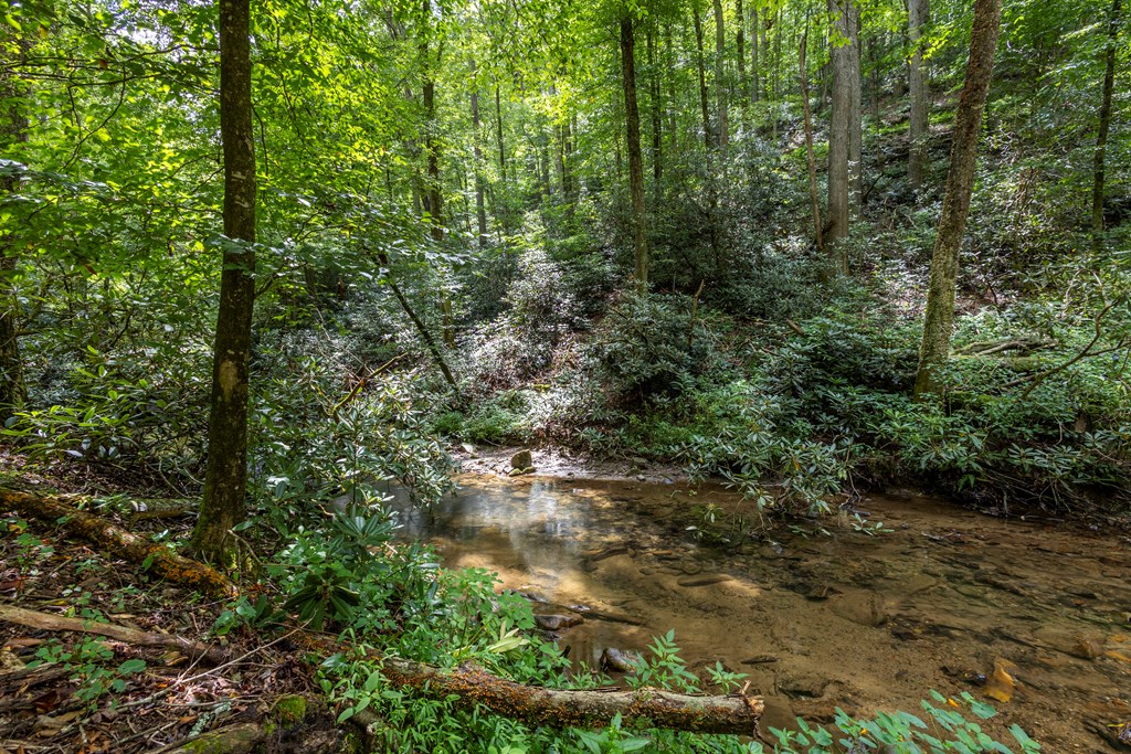 1034 Chestnut Flts Road Andrews, NC 28901 - Photo 13 of 43 a view of outdoor space and trees