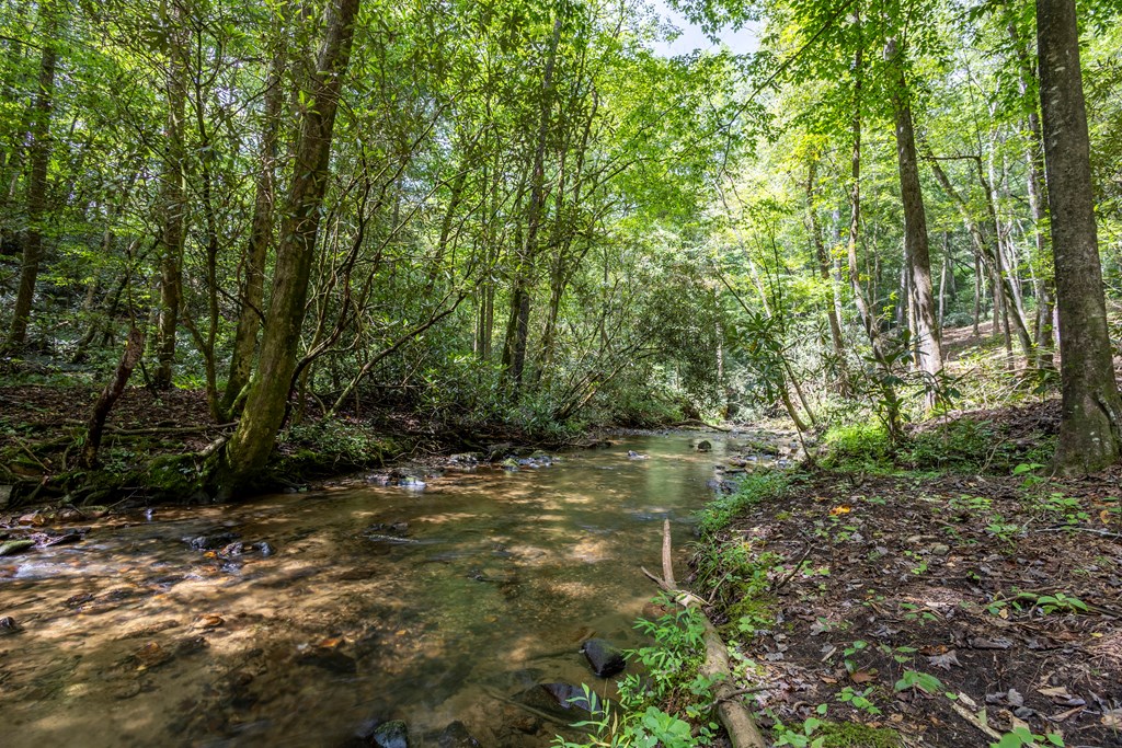 1034 Chestnut Flts Road Andrews, NC 28901 - Photo 15 of 43 a view of outdoor space and yard