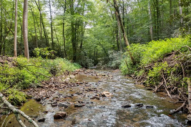 a view of outdoor space and garden